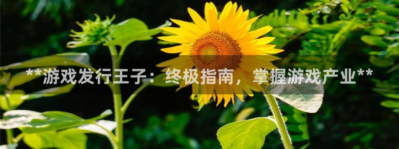 顺盈平台注册开户要钱吗：**游戏发行王子：终极指南，掌握游戏产业**